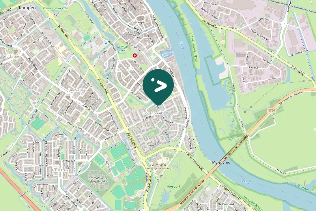 Gespotte Zwarte kraai