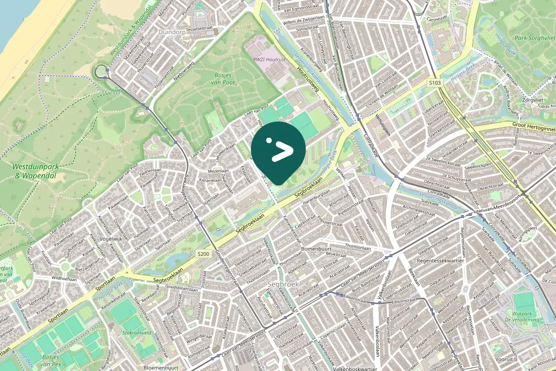 Gespotte Witte kwikstaart