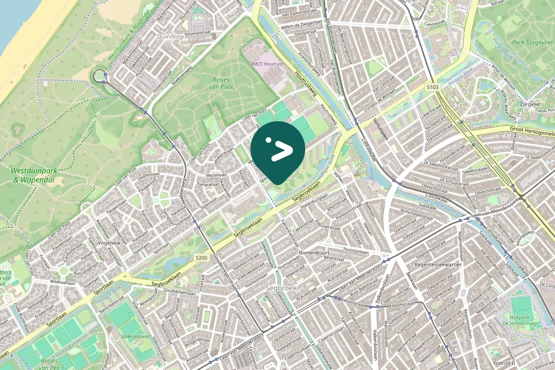 Gespotte Grote gele kwikstaart