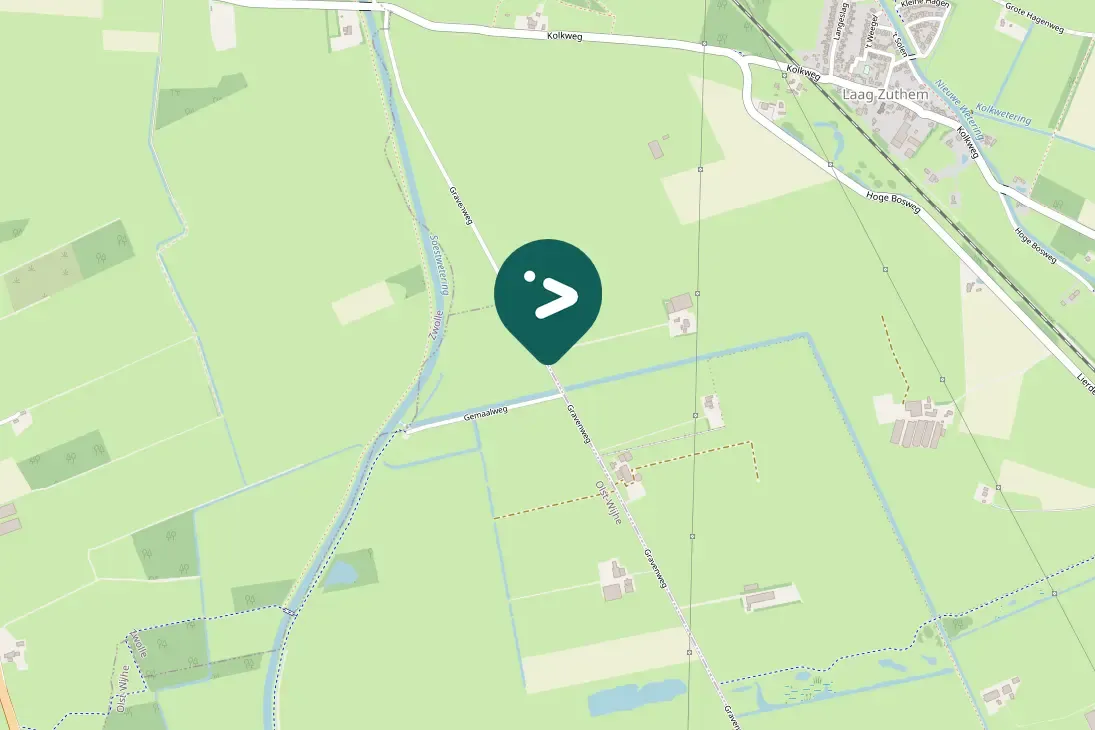 Gespotte Gele kwikstaart