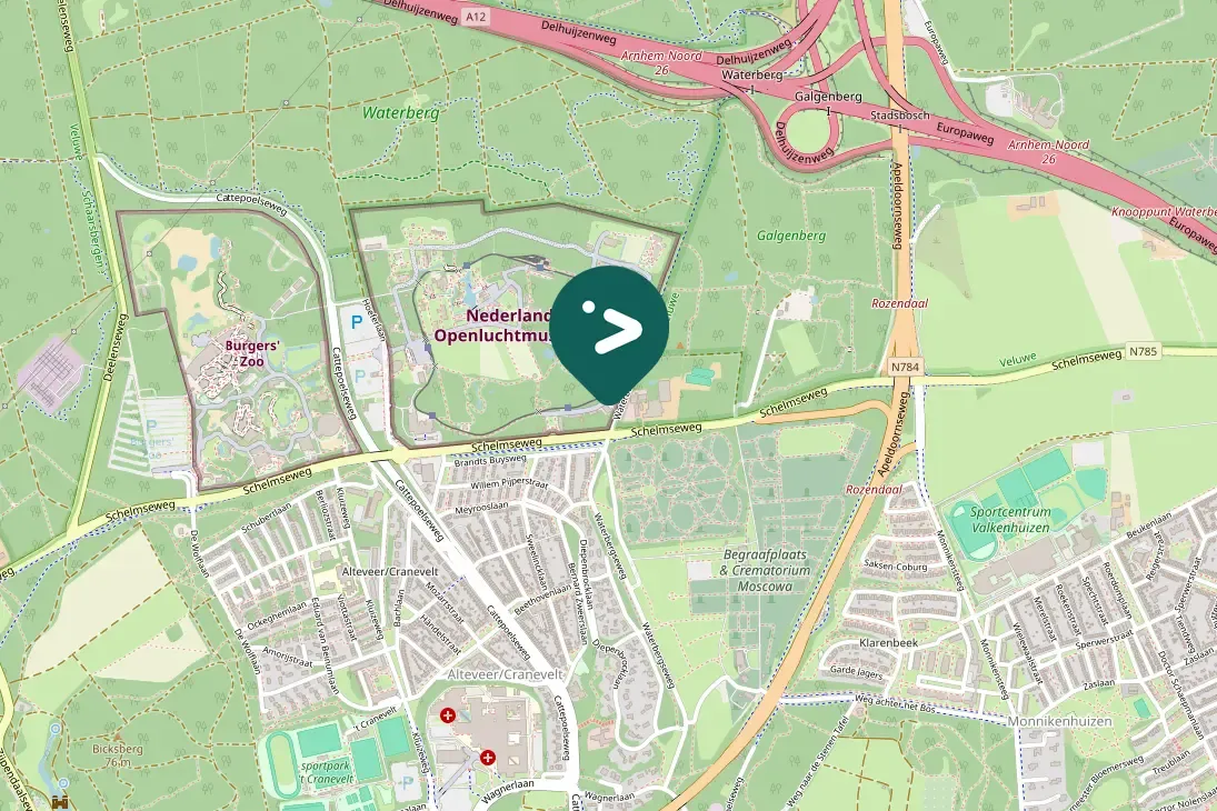 Gespotte Gele kwikstaart