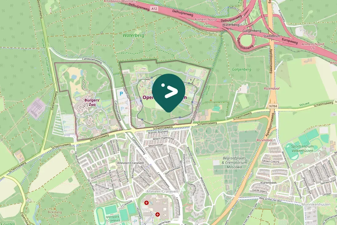 Gespotte Gele kwikstaart