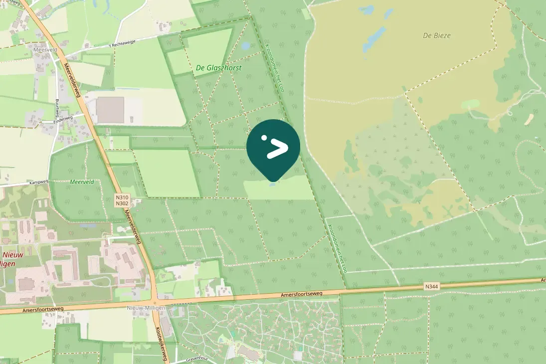 Gespotte Gekraagde roodstaart