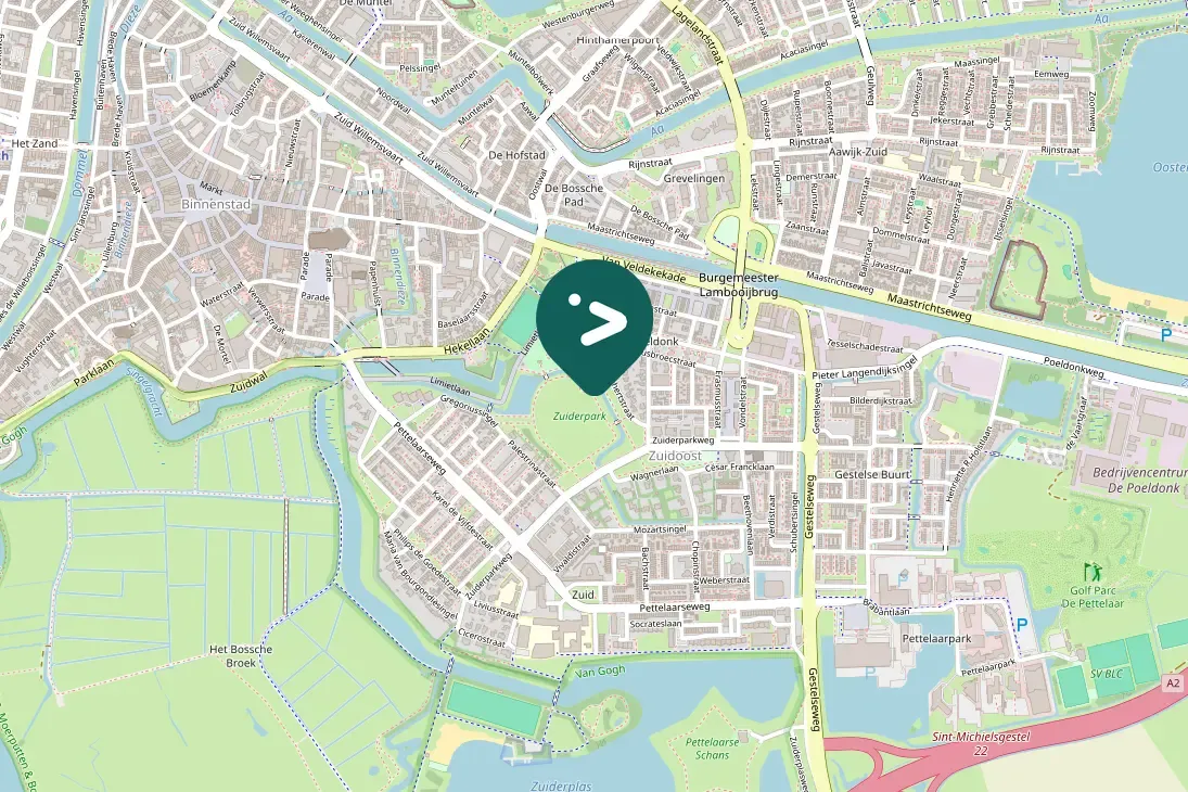 Gespotte Zwarte kraai