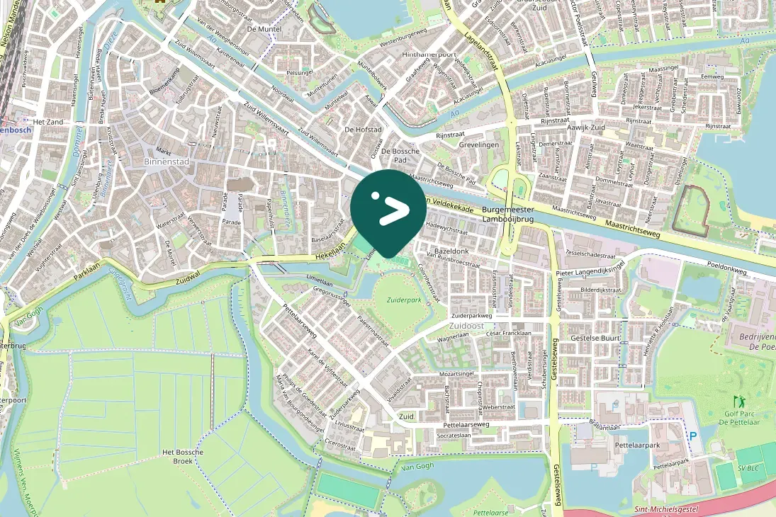 Gespotte Grote Canadese gans