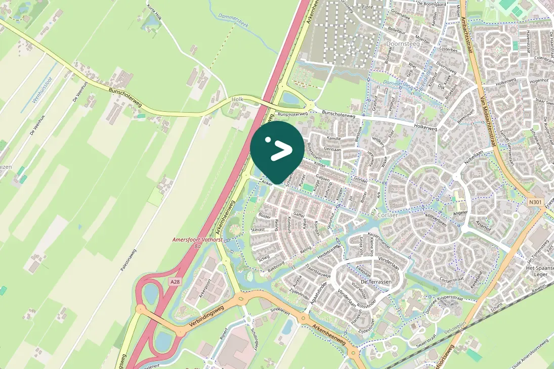 Gespotte Knobbelzwaan