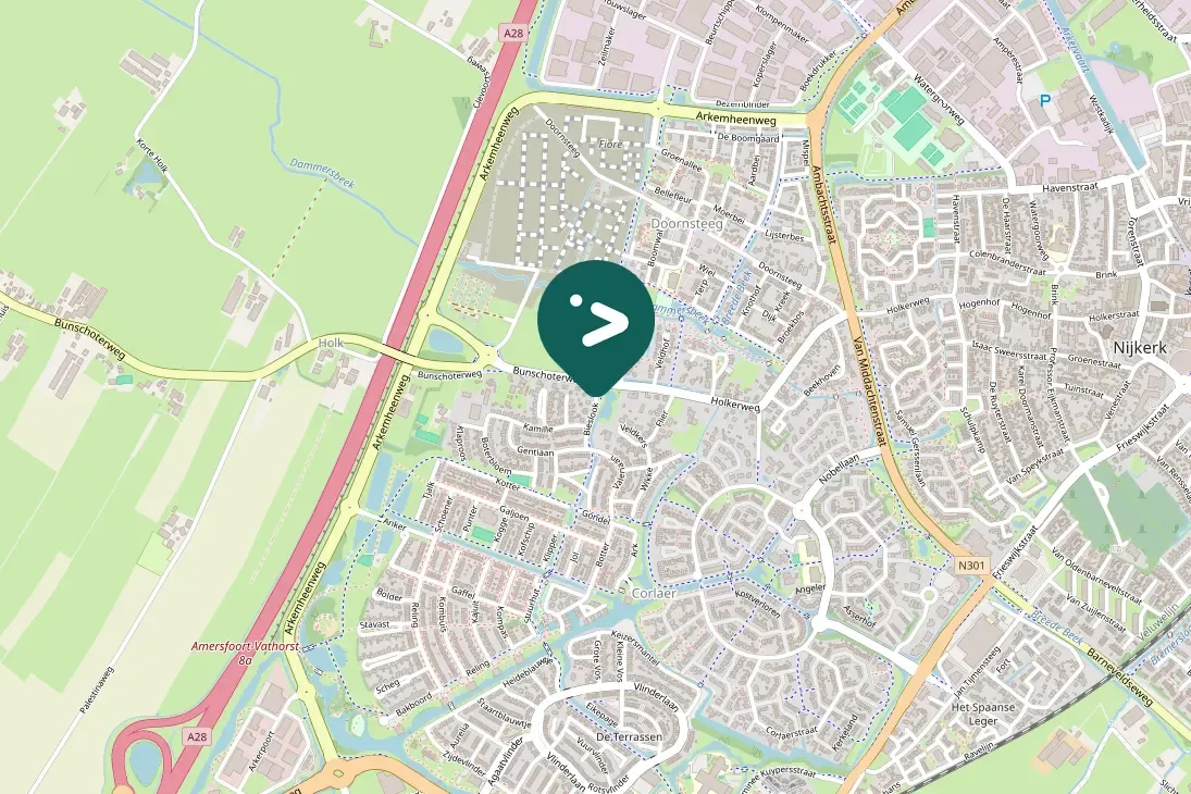 Gespotte Grauwe gans