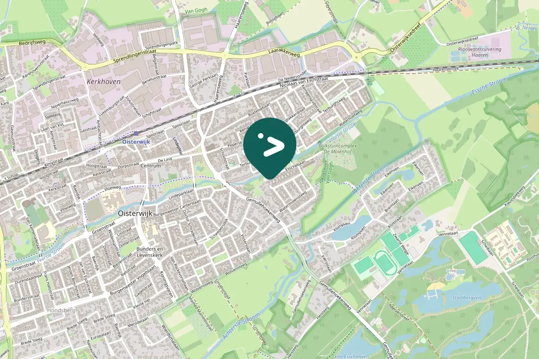 Gespotte Zanglijster