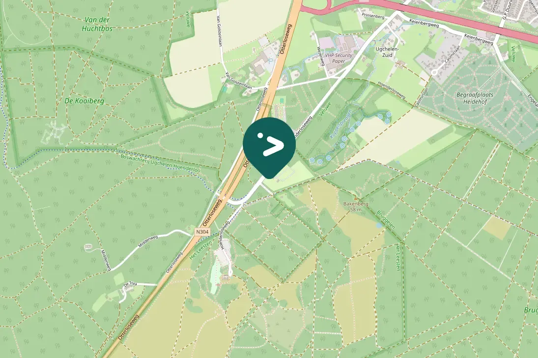 Gespotte Zanglijster