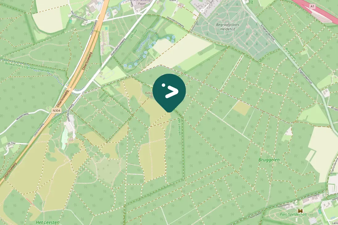 Gespotte Blauwe reiger