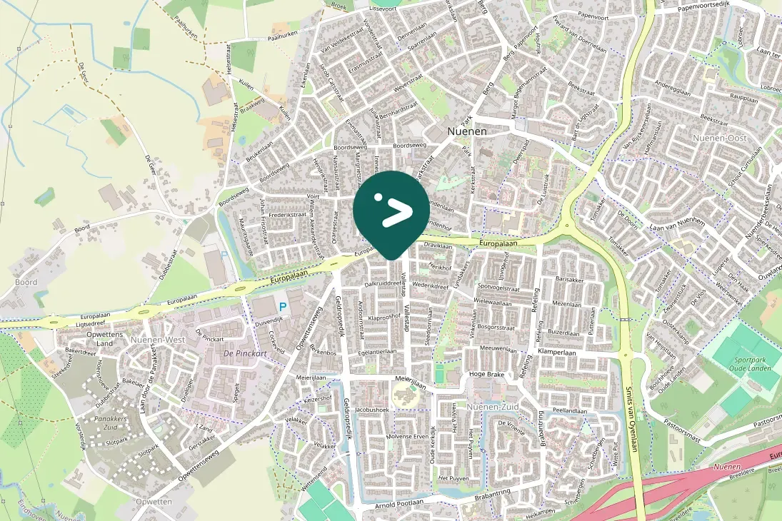 Gespotte Witte kwikstaart