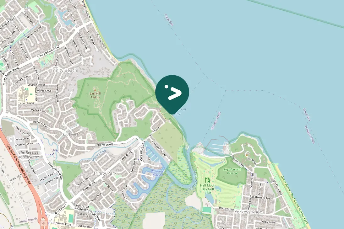 Gespotte Australische pelikaan