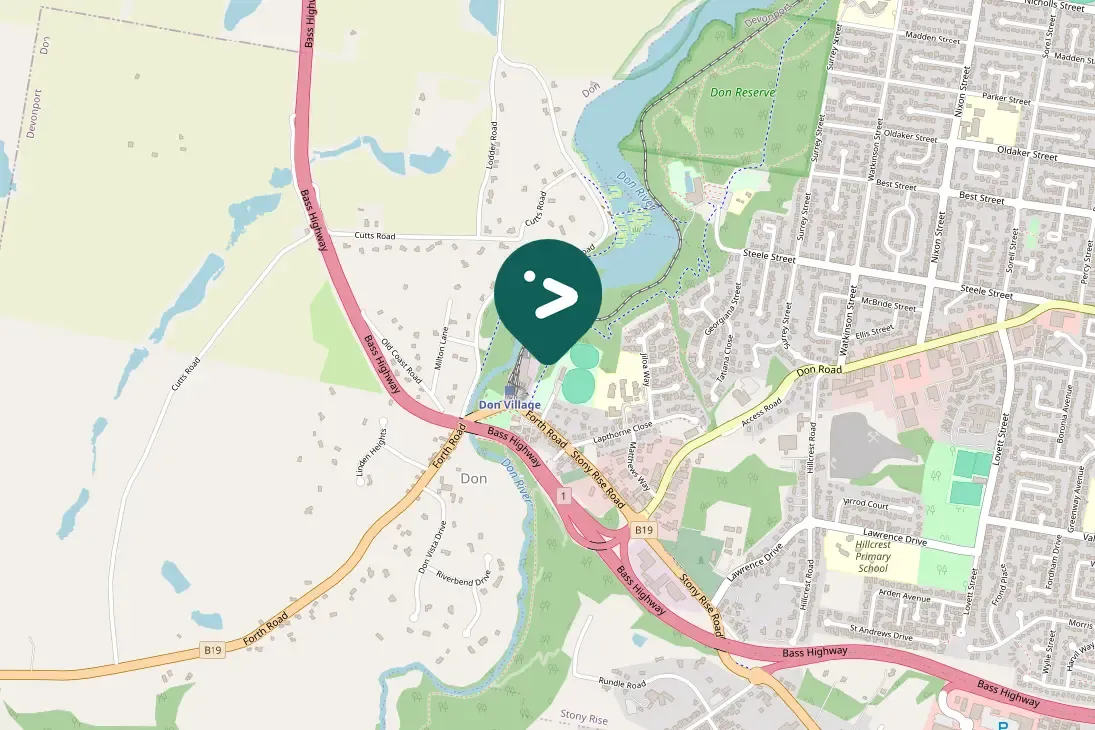 Gespotte Grijze lijsterdikkop