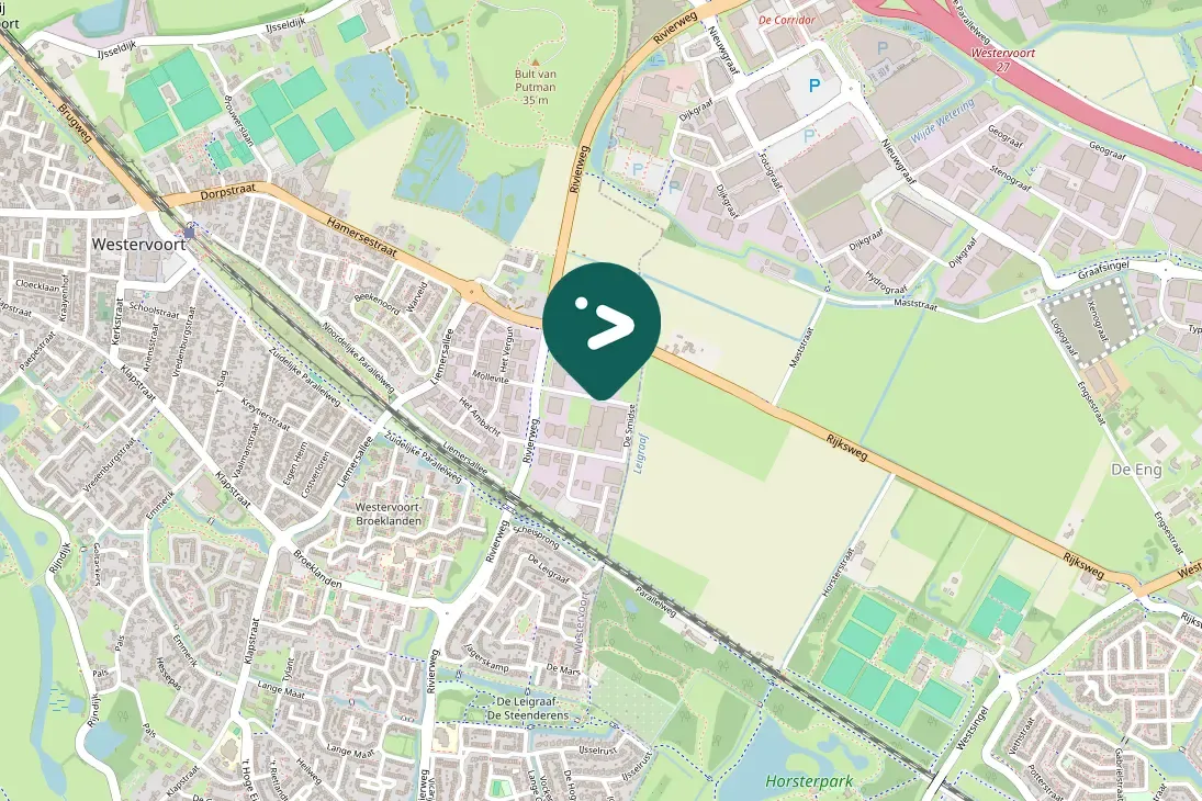 Gespotte Zwarte roodstaart