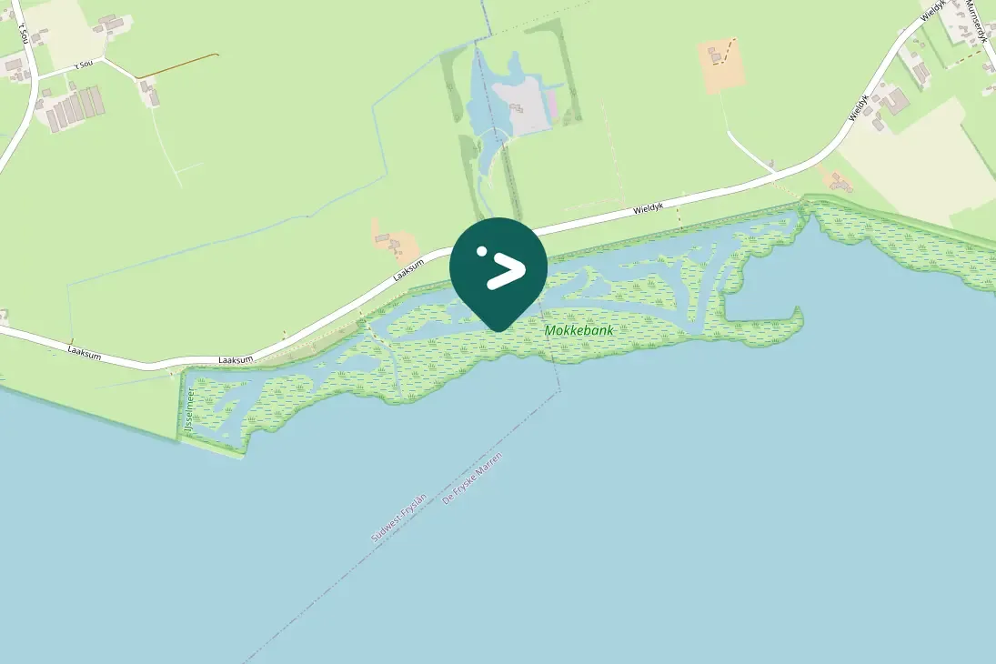 Gespotte Oeverzwaluw