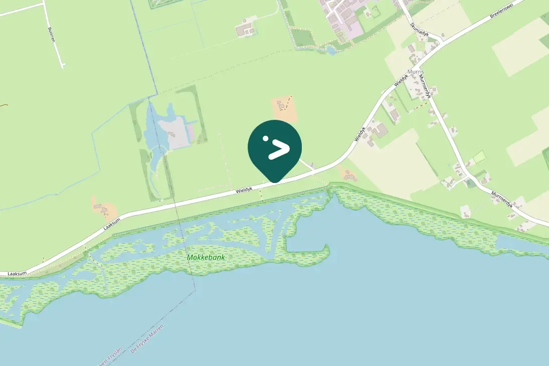 Gespotte Witte kwikstaart