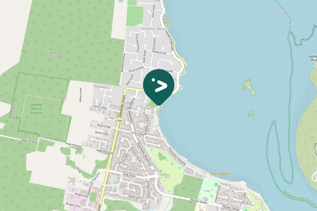 Gespotte Gevlekte diamantvogel