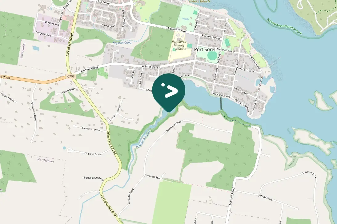 Gespotte Grote zilverreiger