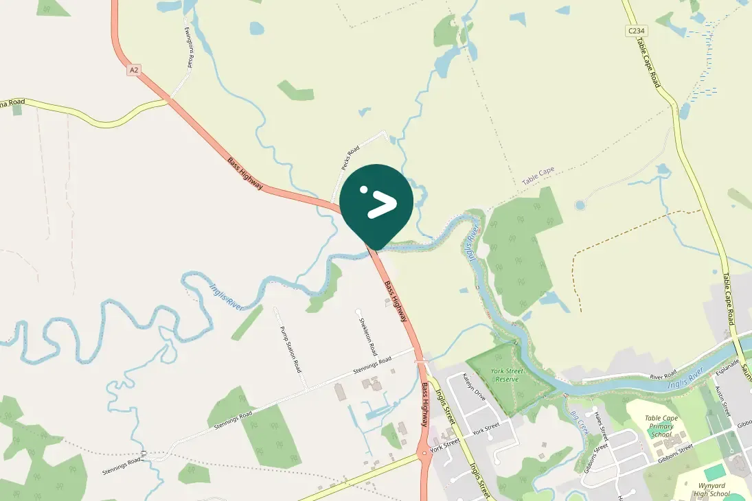 Gespotte Aalscholver