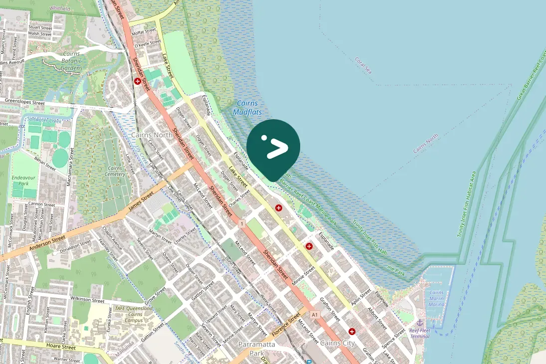 Gespotte Heilige ijsvogel