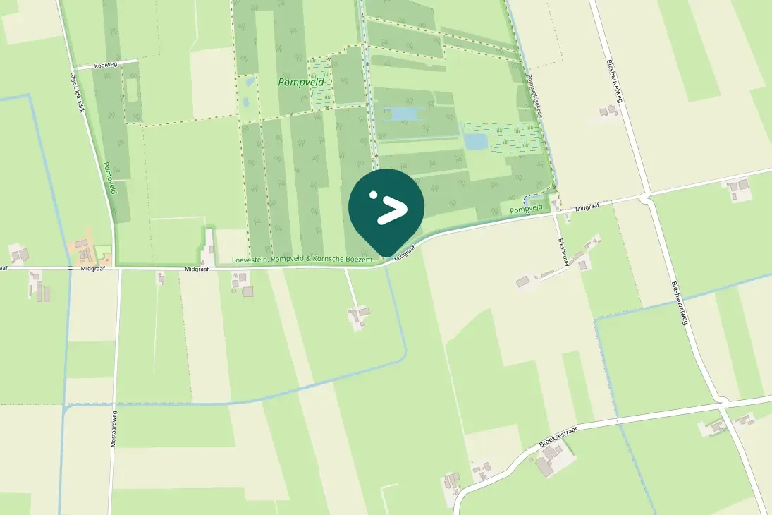 Gespotte Kleine plevier