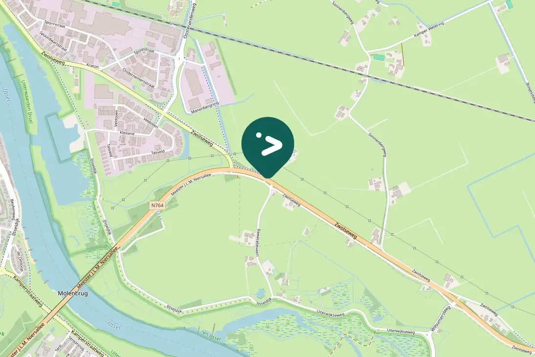 Spotted Bank Swallow