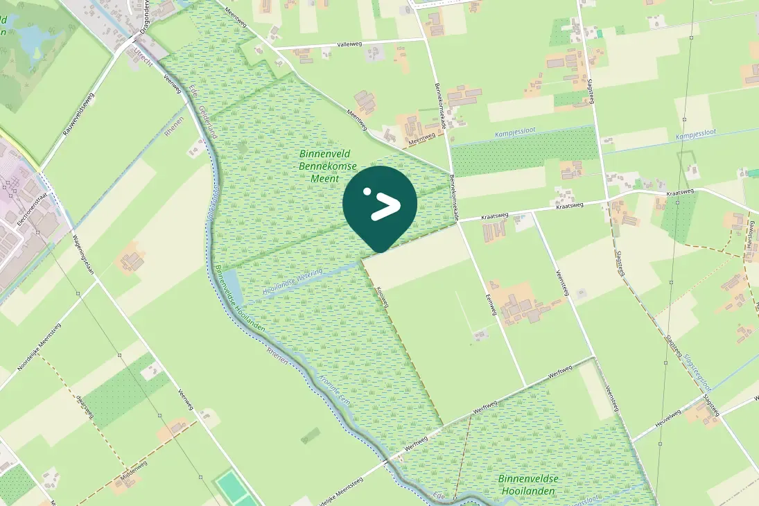 Spotted Wood Sandpiper