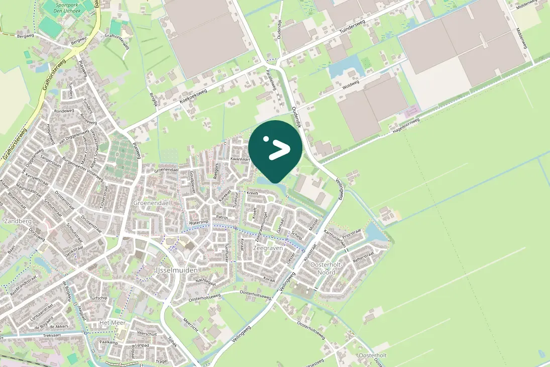 Spotted Egyptian Goose