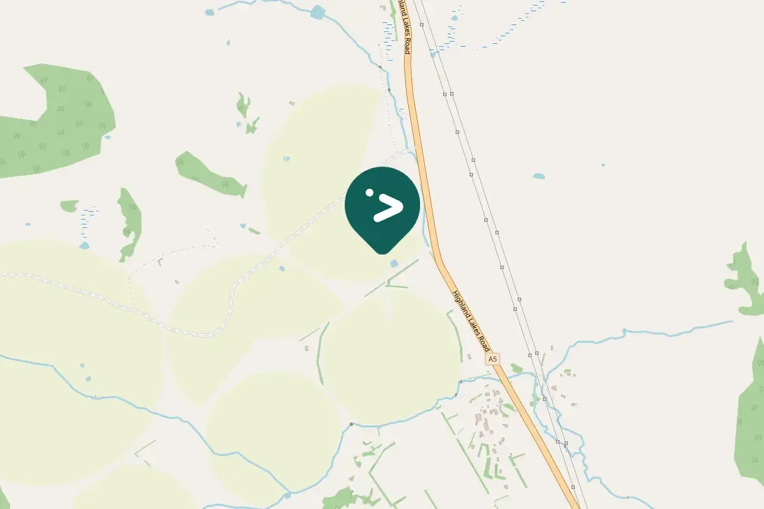 Spotted Tawny Frogmouth