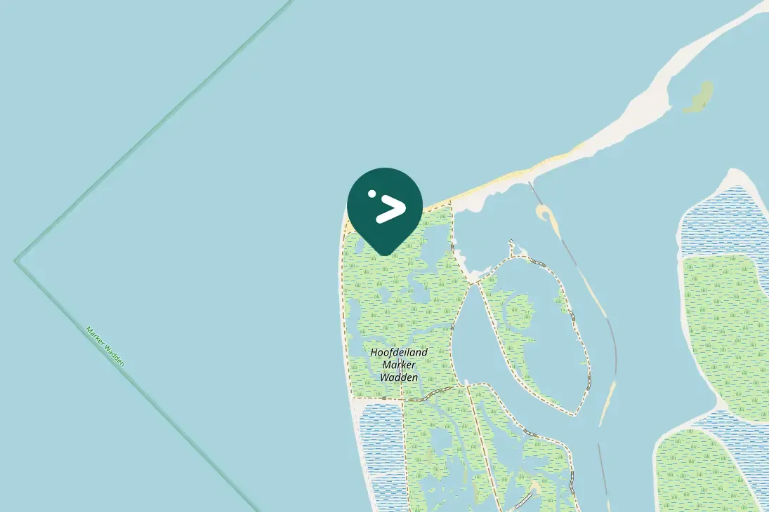 Spotted Green-winged Teal