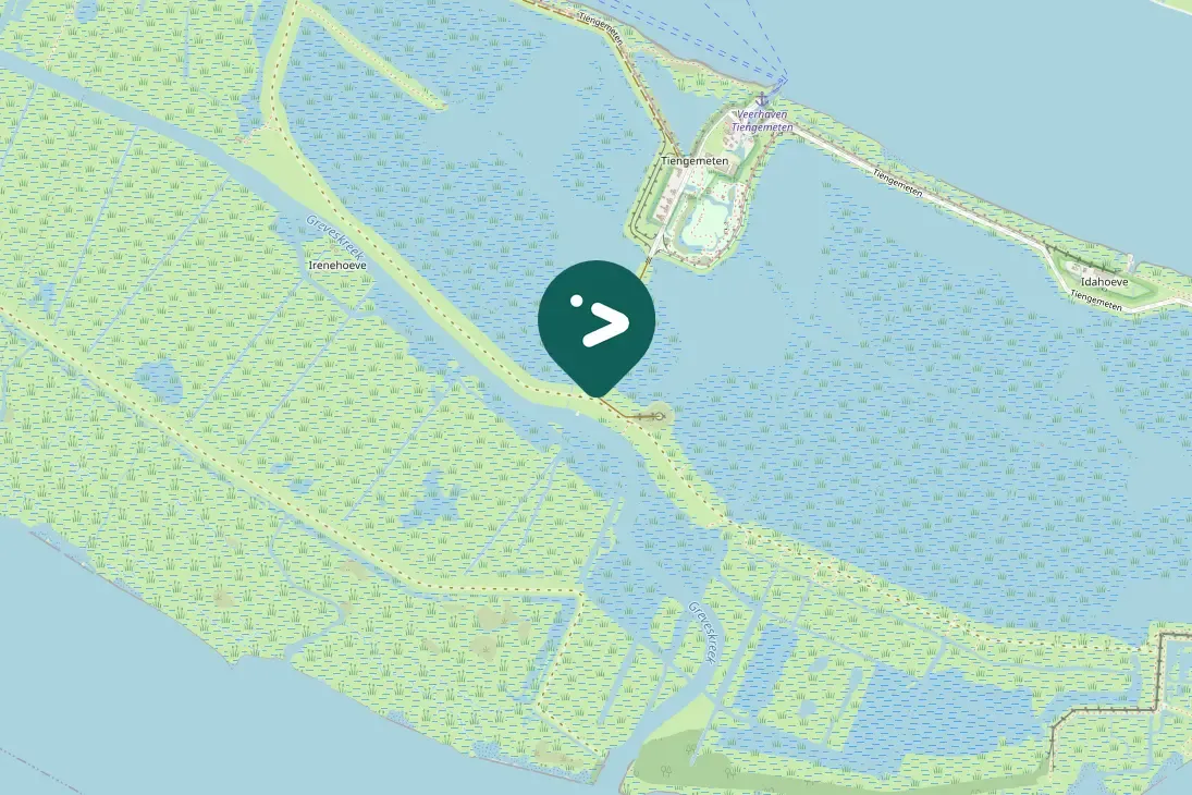 Spotted Red-breasted Merganser