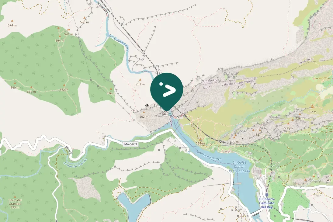 Spotted Alpine Swift
