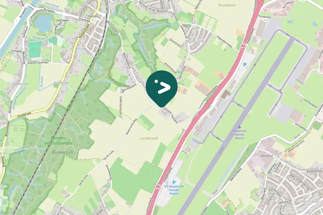 Spotted Eurasian Linnet