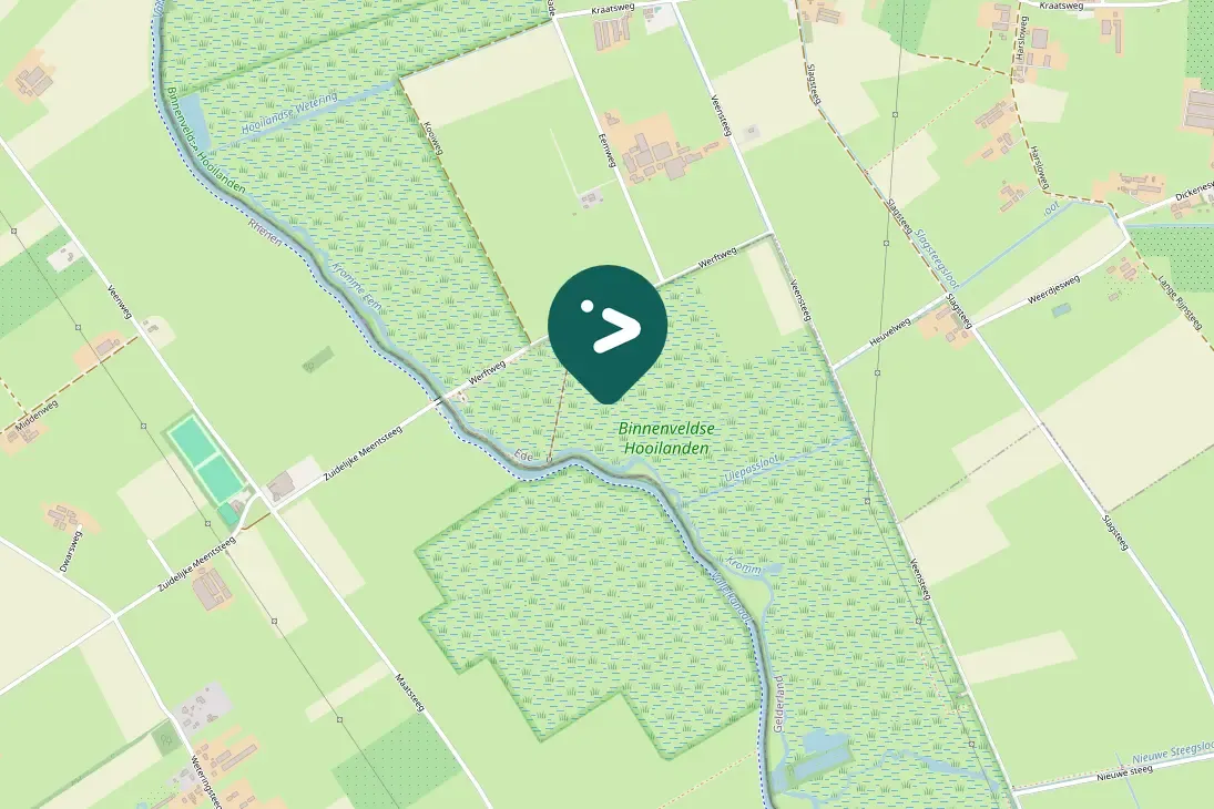 Spotted Wood Sandpiper