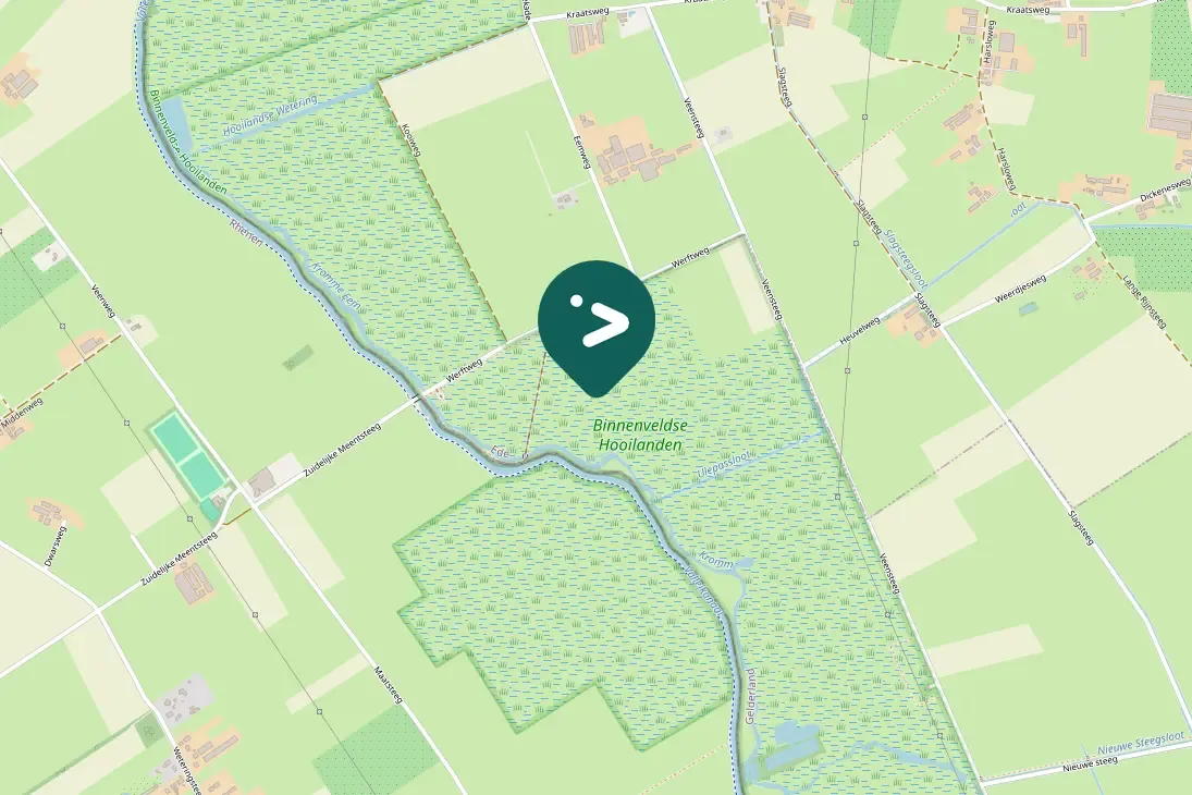 Spotted Common Greenshank