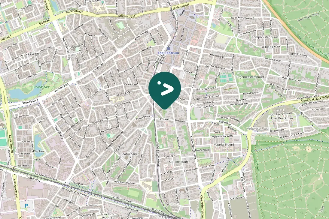 Spotted European Robin