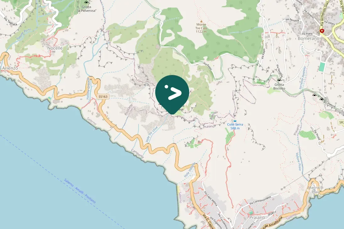 Spotted Common Raven