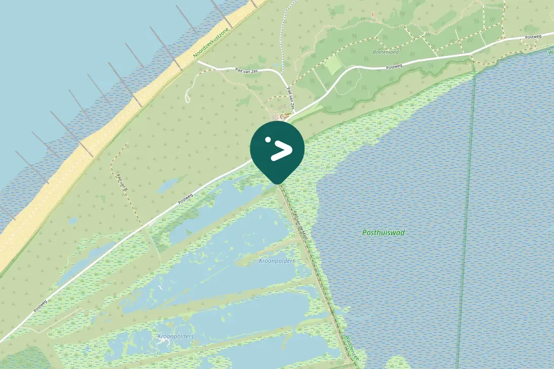 Spotted Common Eider