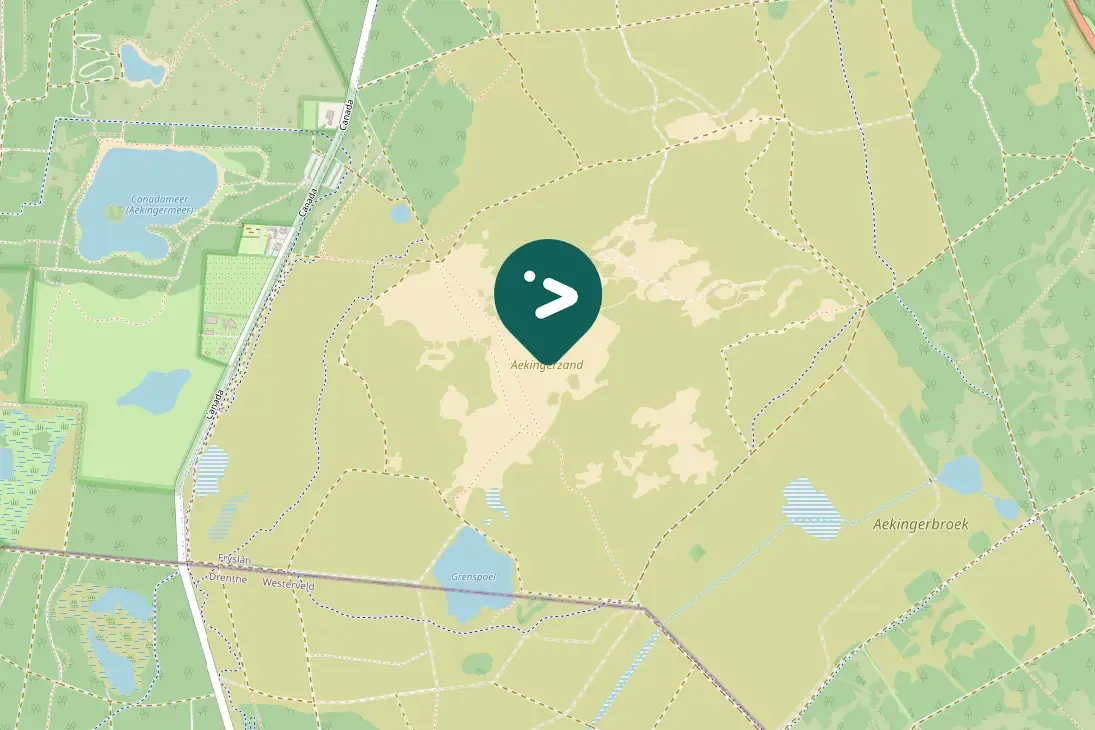 Spotted Ring Ouzel