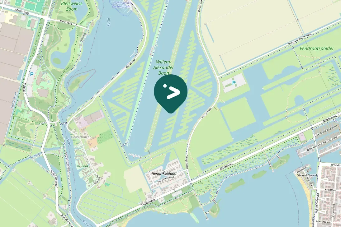 Spotted Pied Avocet