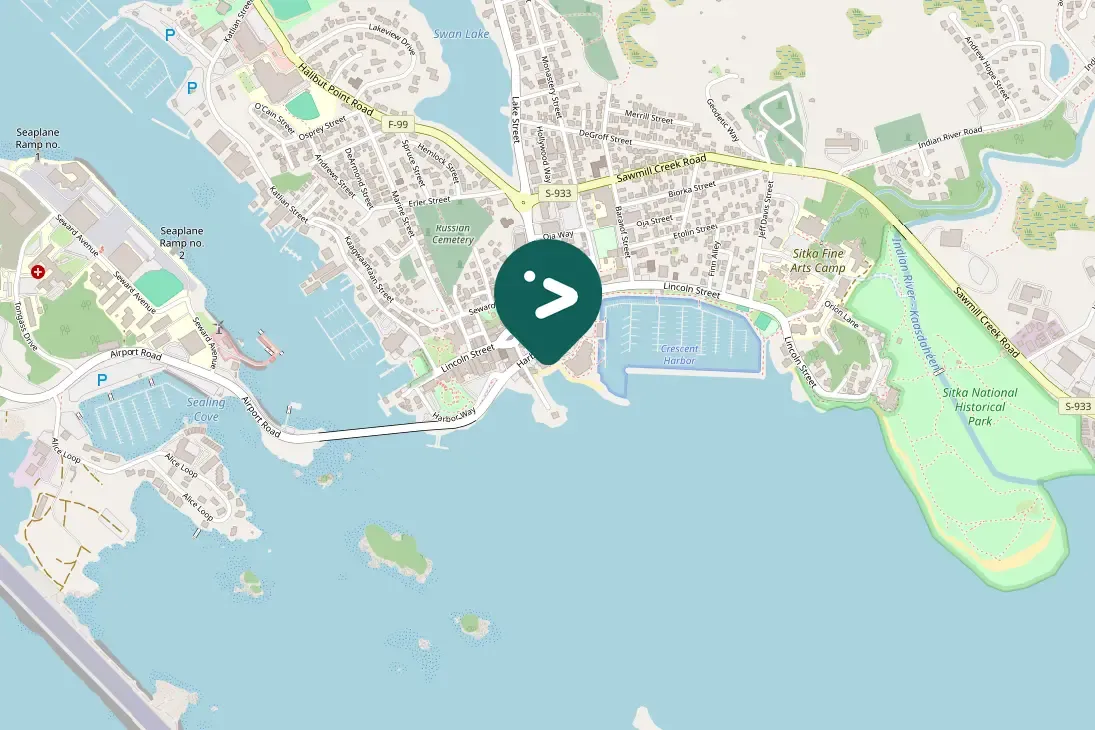 Spotted Common Merganser