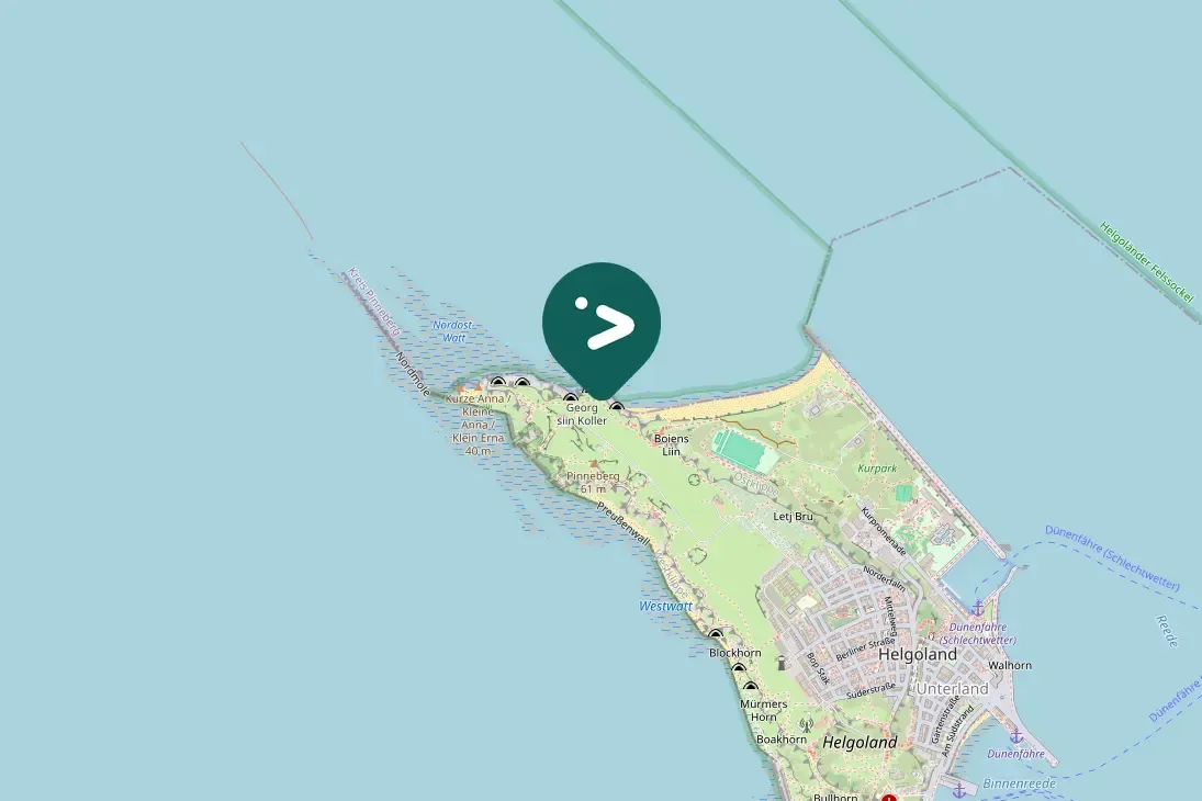 Spotted Northern Fulmar