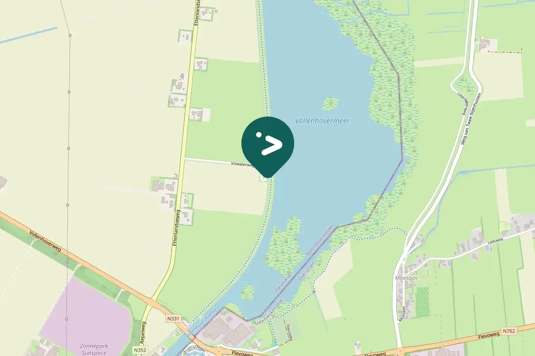 Spotted Common Pochard