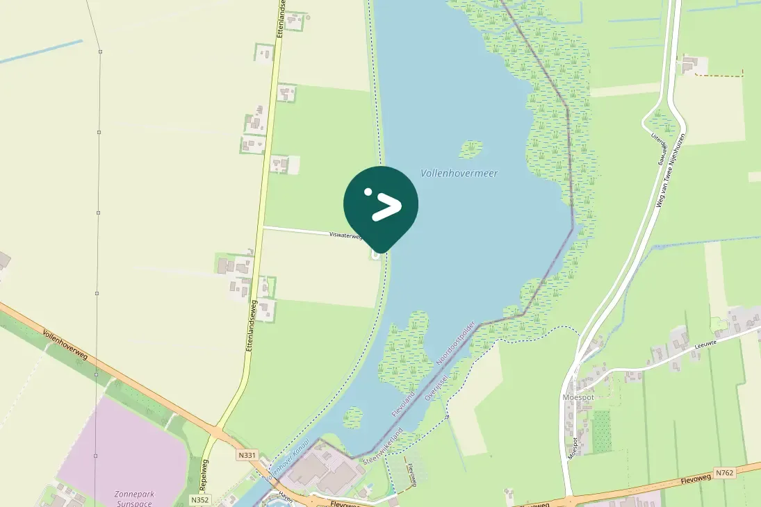 Spotted Common Pochard