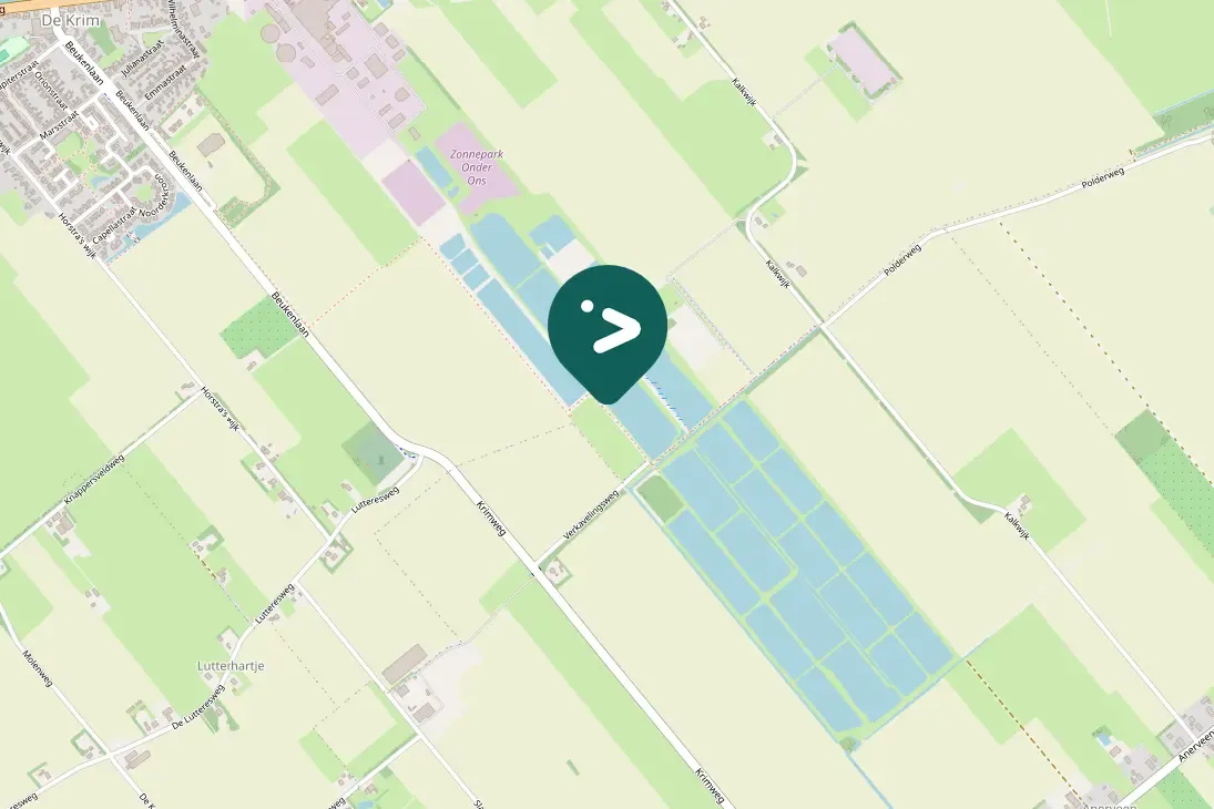 Spotted Sedge Warbler