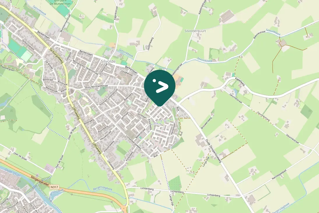 Spotted Canada Goose