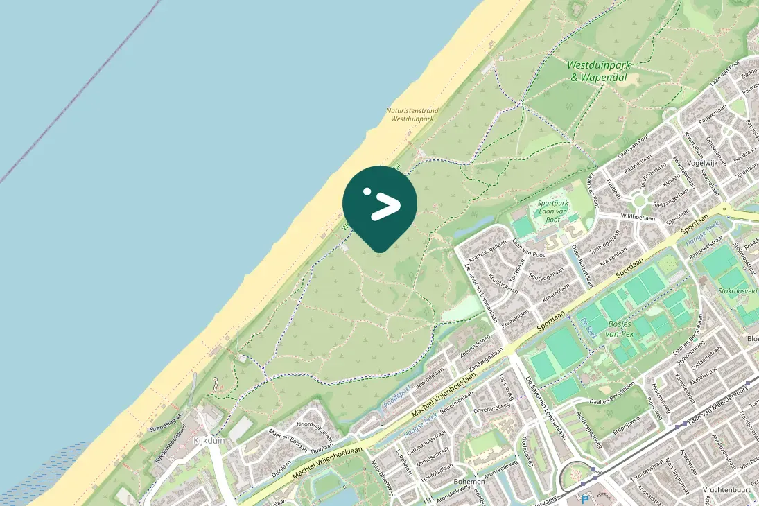 Spotted Manx Shearwater