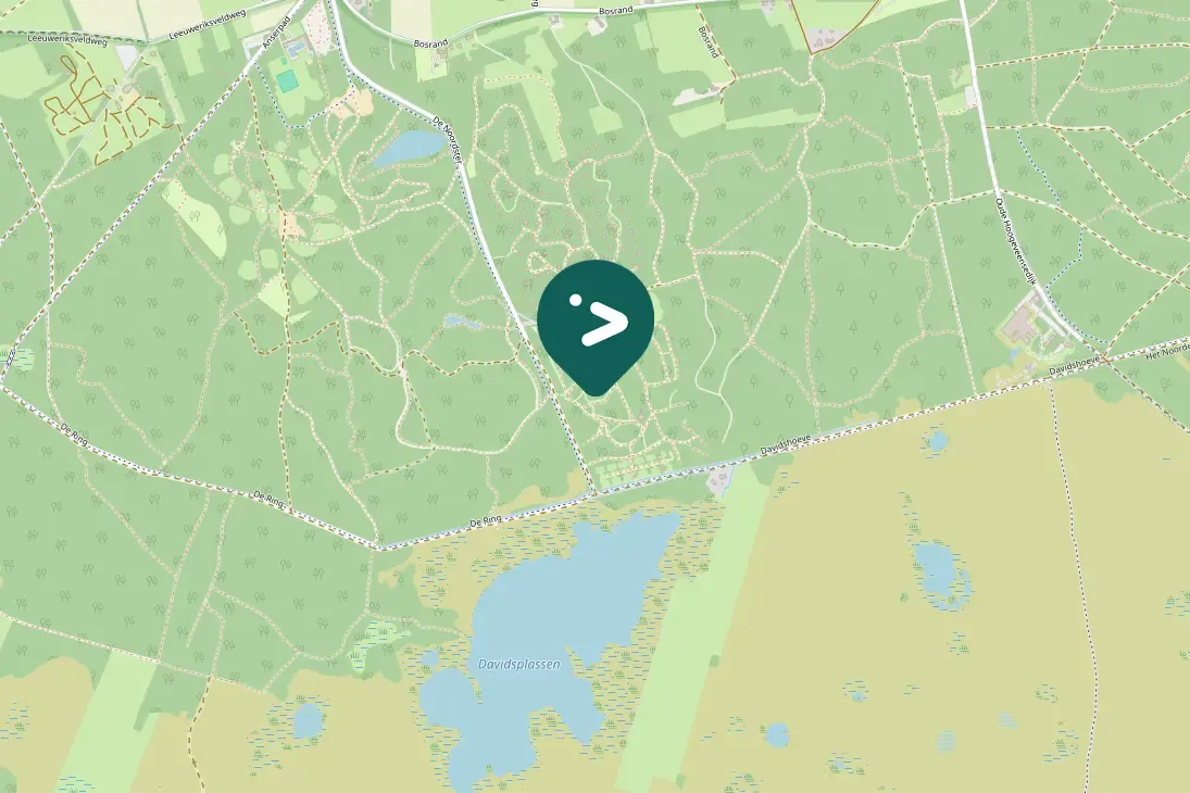 Spotted Eurasian Nightjar
