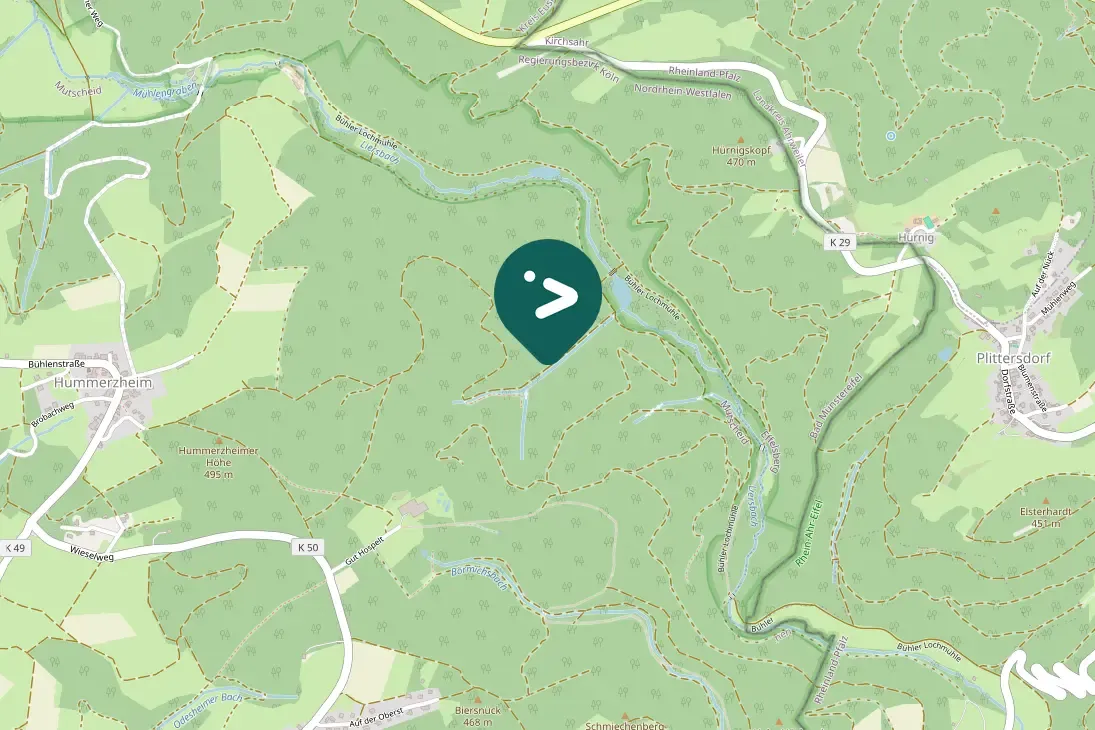 Spotted Wood Warbler