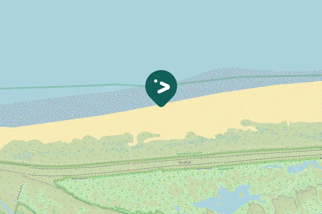 Spotted Eurasian Curlew